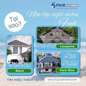 ngói nào bền màu